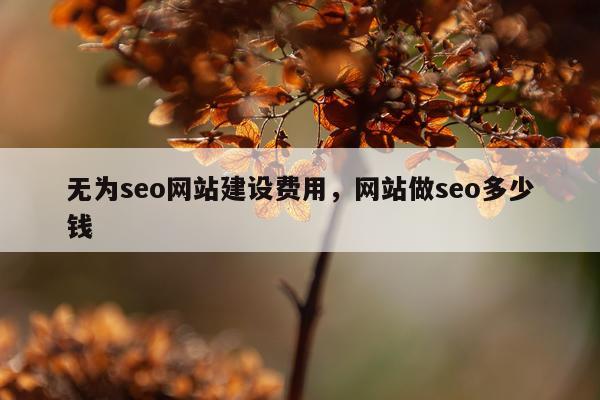 无为seo网站建设费用,网站做seo多少钱