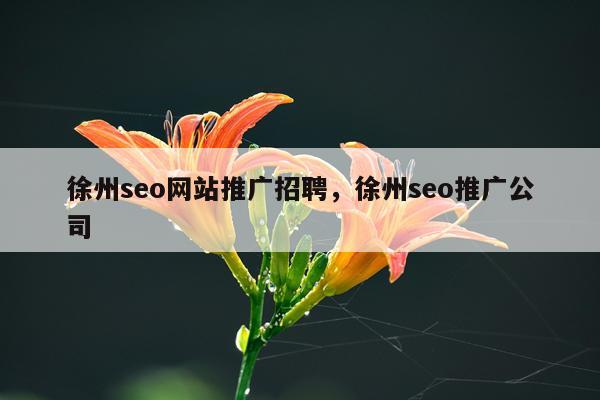 徐州seo网站推广招聘,徐州seo推广公司