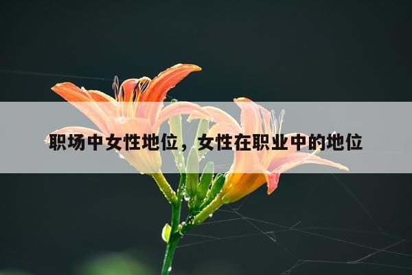 职场中女性地位，女性在职业中的地位
