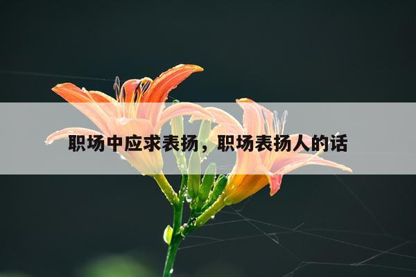 职场中应求表扬，职场表扬人的话