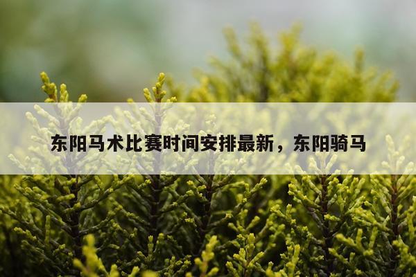 东阳马术比赛时间安排最新,东阳骑马