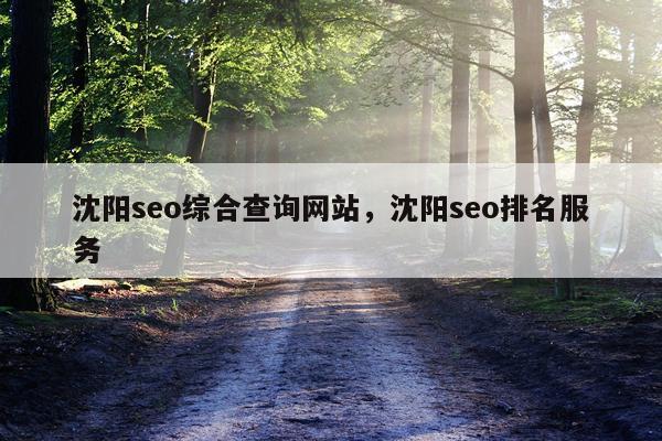 沈阳seo综合查询网站,沈阳seo排名服务