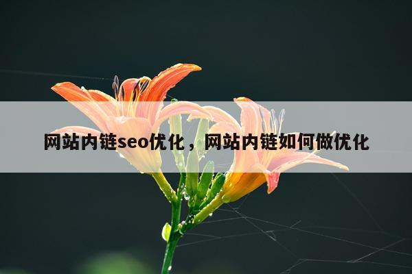 网站内链seo优化,网站内链如何做优化