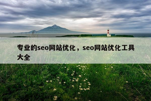 专业的seo网站优化,seo网站优化工具大全