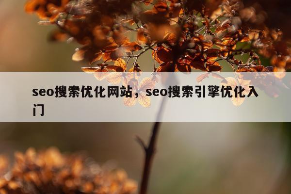 seo搜索优化网站,seo搜索引擎优化入门