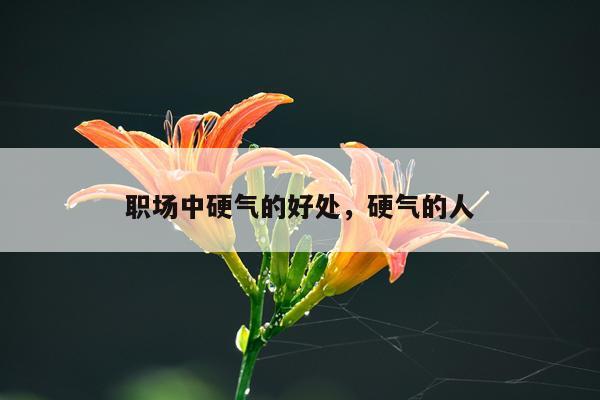 职场中硬气的好处，硬气的人