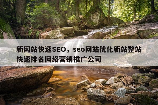 新网站快速SEO,seo网站优化新站整站快速排名网络营销推广公司
