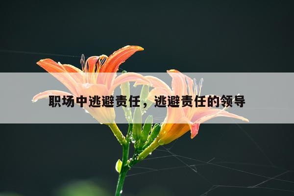 职场中逃避责任，逃避责任的领导