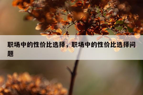 职场中的性价比选择，职场中的性价比选择问题