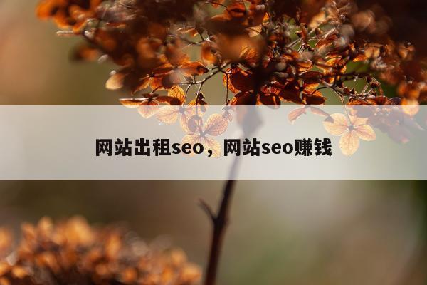 网站出租seo,网站seo赚钱