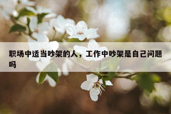 职场中适当吵架的人，工作中吵架是自己问题吗