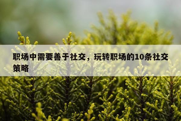 职场中需要善于社交，玩转职场的10条社交策略