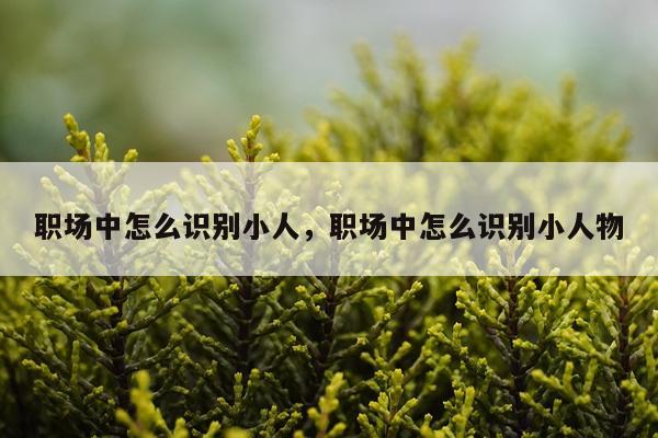 职场中怎么识别小人，职场中怎么识别小人物