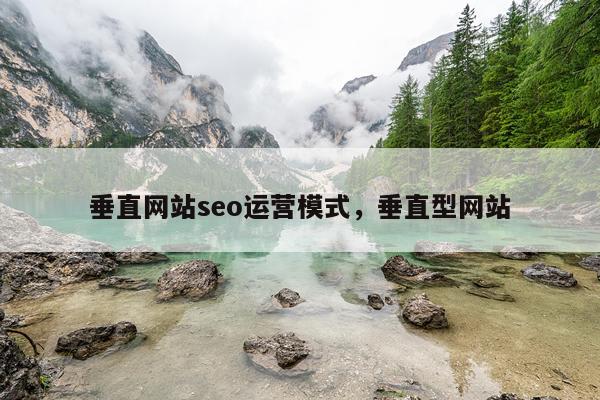 垂直网站seo运营模式，垂直型网站