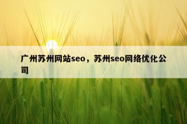 广州苏州网站seo，苏州seo网络优化公司