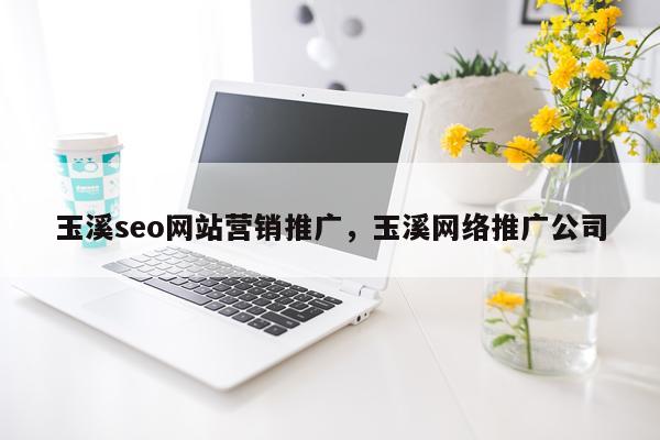 玉溪seo网站营销推广，玉溪网络推广公司