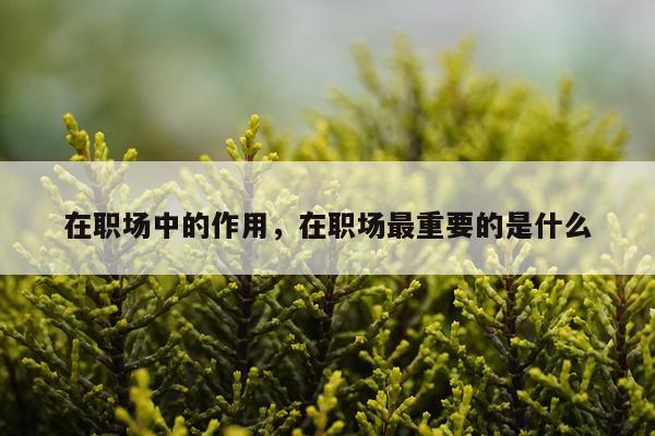在职场中的作用，在职场最重要的是什么