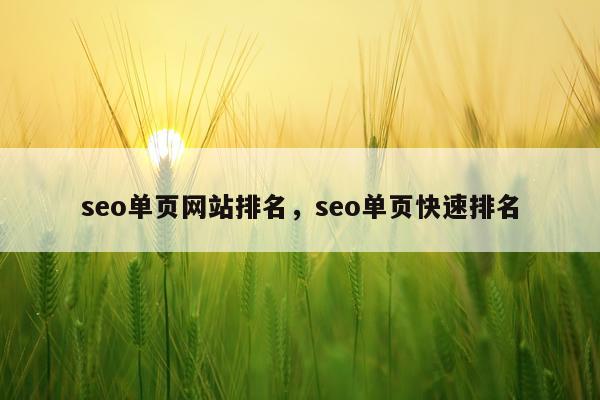 seo单页网站排名，seo单页快速排名