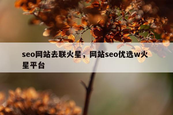 seo网站去联火星，网站seo优选w火 星平台