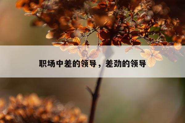 职场中差的领导，差劲的领导