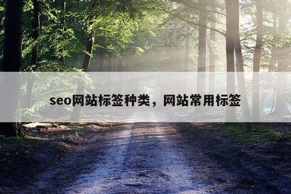 seo网站标签种类，网站常用标签