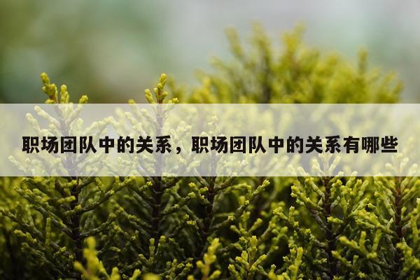 职场团队中的关系，职场团队中的关系有哪些