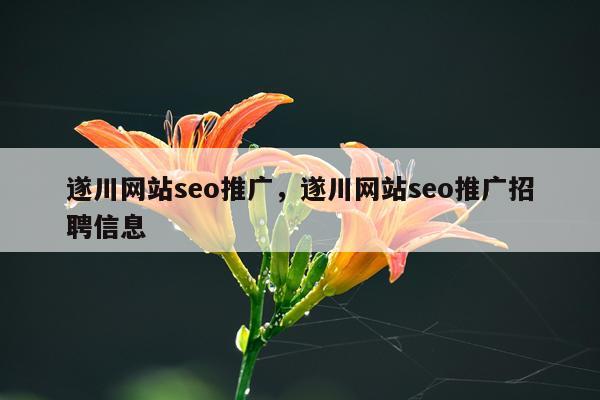 遂川网站seo推广，遂川网站seo推广招聘信息