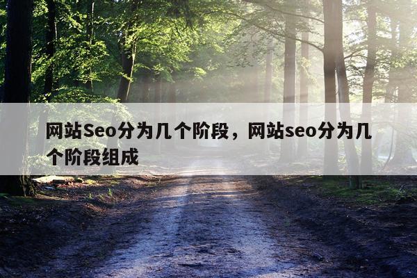 网站Seo分为几个阶段，网站seo分为几个阶段组成