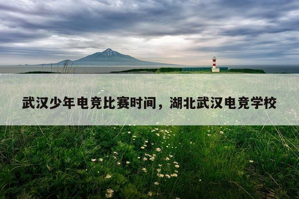 武汉少年电竞比赛时间，湖北武汉电竞学校
