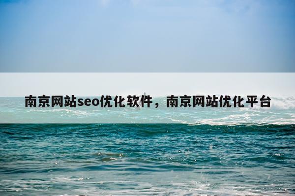 南京网站seo优化软件，南京网站优化平台