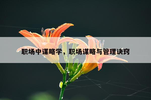 职场中谋略学，职场谋略与管理诀窍