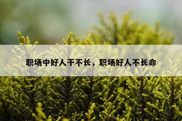 职场中好人干不长，职场好人不长命