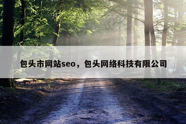 包头市网站seo，包头网络科技有限公司