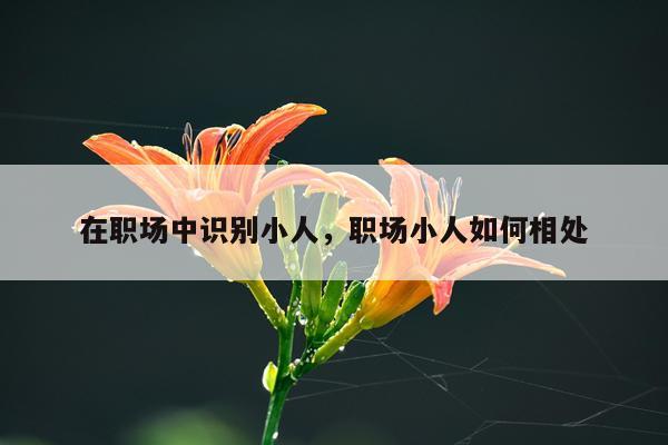 在职场中识别小人，职场小人如何相处
