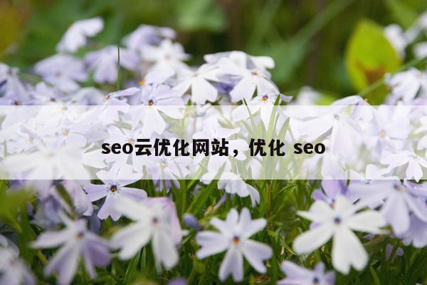 seo云优化网站，优化 seo