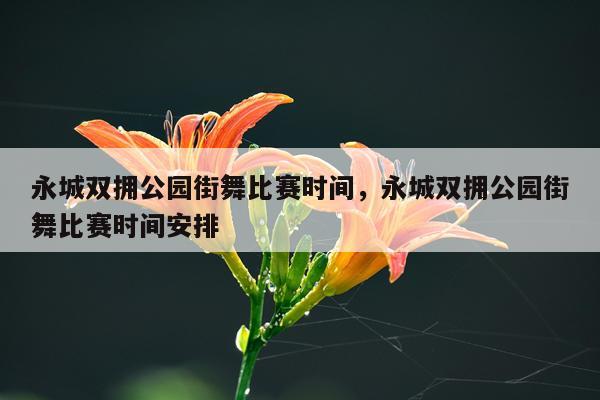 永城双拥公园街舞比赛时间，永城双拥公园街舞比赛时间安排