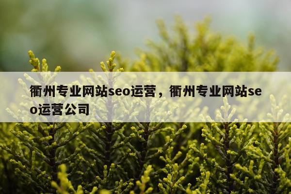 衢州专业网站seo运营，衢州专业网站seo运营公司