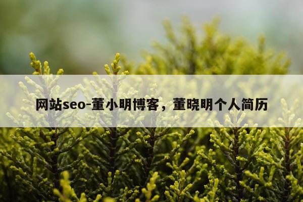 网站seo-董小明博客，董晓明个人简历