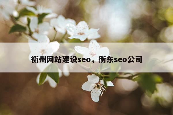 衡州网站建设seo，衡东seo公司