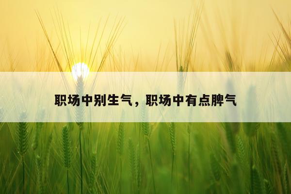 职场中别生气，职场中有点脾气