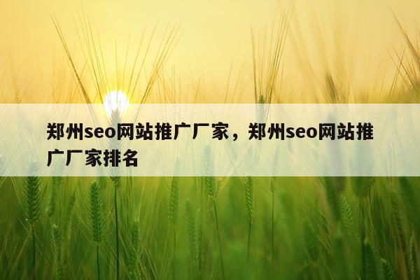 郑州seo网站推广厂家，郑州seo网站推广厂家排名
