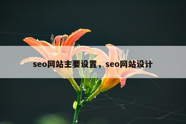 seo网站主要设置，seo网站设计