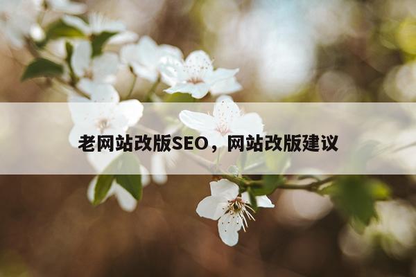 老网站改版SEO，网站改版建议