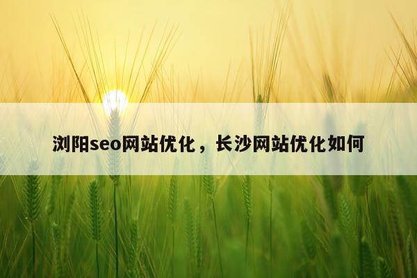 浏阳seo网站优化，长沙网站优化如何