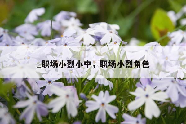 _职场小烈小中，职场小烈角色