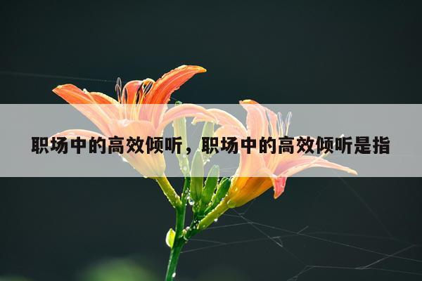 职场中的高效倾听，职场中的高效倾听是指