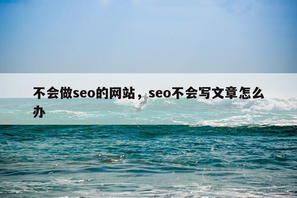 不会做seo的网站,seo不会写文章怎么办
