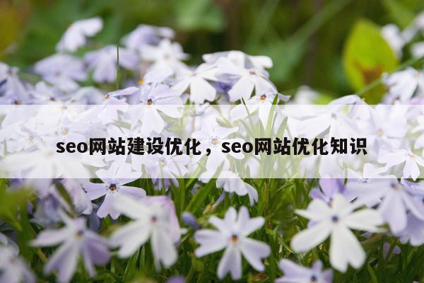 seo网站建设优化，seo网站优化知识