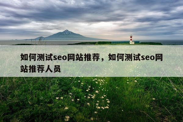 如何测试seo网站推荐，如何测试seo网站推荐人员
