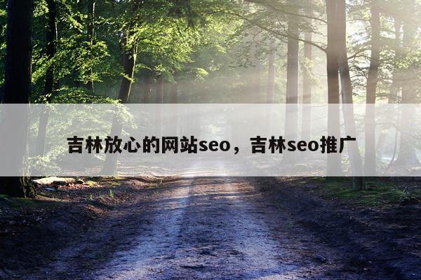 吉林放心的网站seo，吉林seo推广